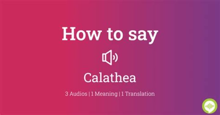 How to pronounce calathea